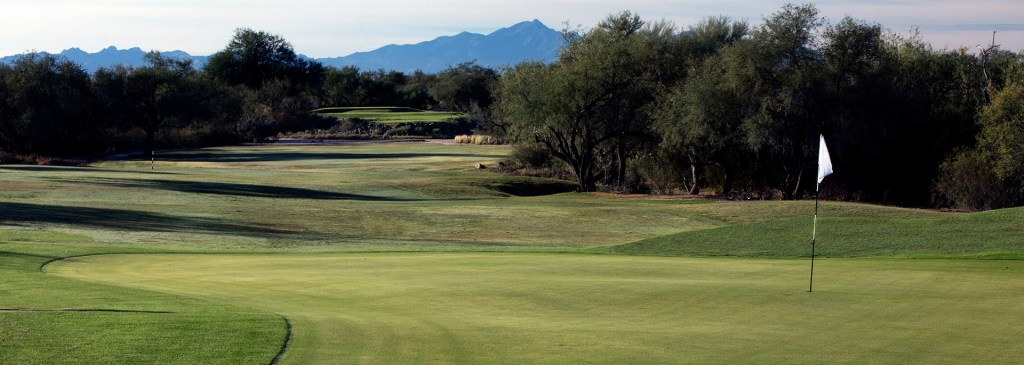 Overseed Schedule Tucson City Golf