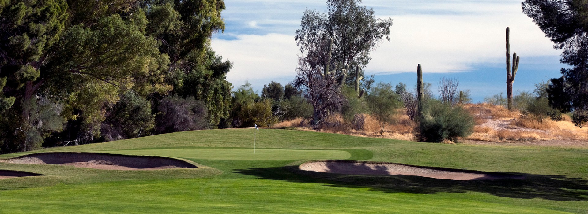 A checkered flag on the left, and a couple of cactus on the right dot the course.